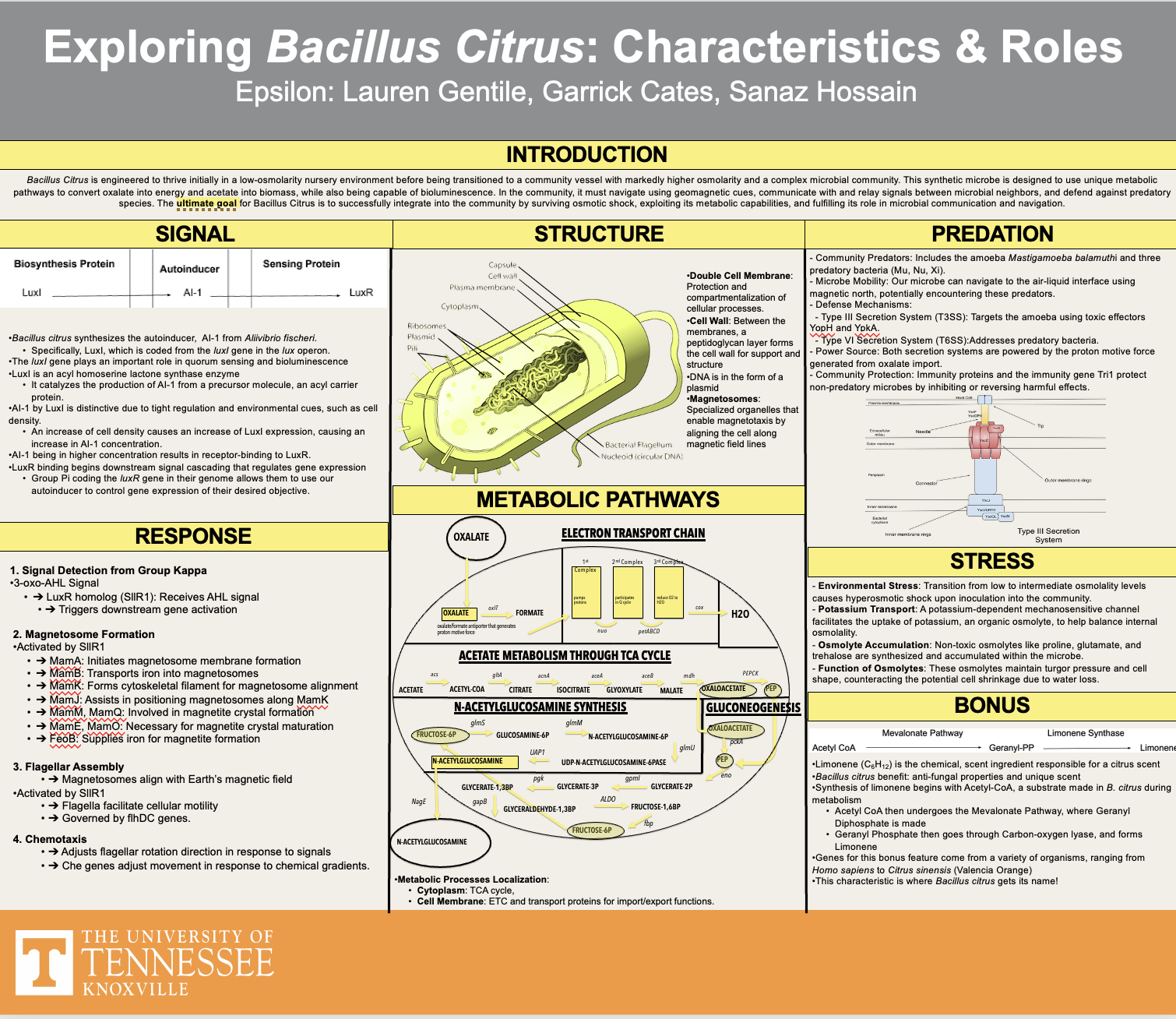 The full Bacillus citrus poster