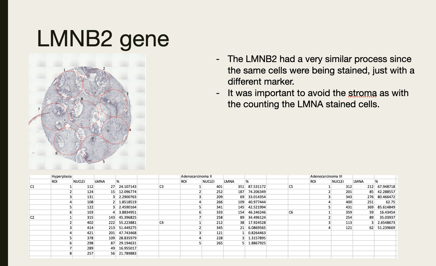 Numbered ROI overlay on Lamin B2-stained tissue